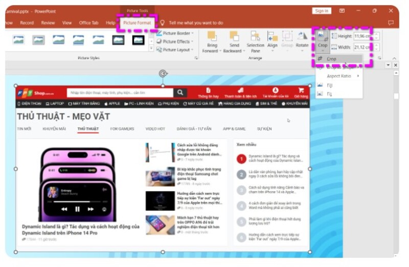 cách cắt ảnh trong powerpoint